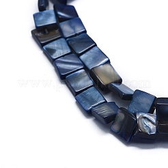 Naturali di acqua dolce perline shell fili&nbsp;SHEL-E355-07D