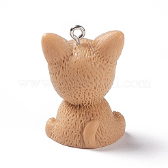 Pendentifs en résine opaque&nbsp;RESI-E032-01P-03