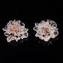 Transparente Harzcabochons&nbsp;CRES-N030-002