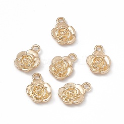 Pendentifs de placage en laiton&nbsp;KK-G455-16G