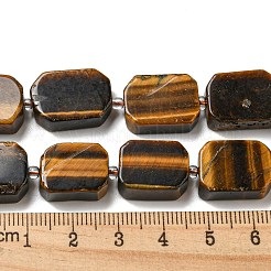 Natürlichen Tigerauge Perlen Stränge&nbsp;G-G072-B03-02