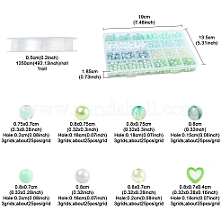 Bracelets de bricolage faisant des kits&nbsp;DIY-FS0008-81B