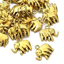 Pendente in lega stile tibetano&nbsp;GLF10778Y