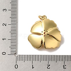 Cremagliera placcatura micro ottone spianare pendenti zirconi&nbsp;KK-U027-21G