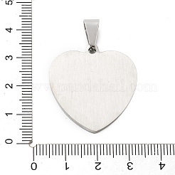 Pendentifs en acier inoxydable 304&nbsp;STAS-F313-10P