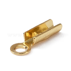 Klappbare Crimp-Enden aus chirurgischem Edelstahl 316&nbsp;FIND-WH0045-45A