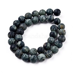 Fili di perline di diaspro kambaba naturale smerigliato&nbsp;G-M272-14-8mm