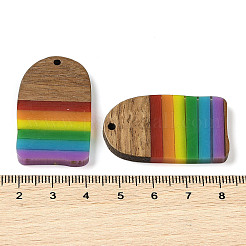 Colgantes de resina y madera de nogal con tema de arcoíris del orgullo&nbsp;WOOD-K012-02