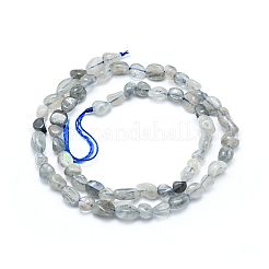 Perline labradorite naturale fili&nbsp;X-G-L550A-06