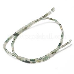 Muschio naturale agata perline fili&nbsp;G-B004-A28