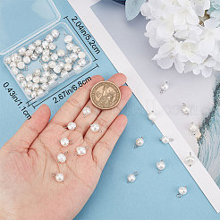 70 stücke natürliche zucht süßwasser perle zwei seiten poliert charms&nbsp;FIND-CN0001-43P