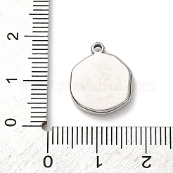 Ciondoli in acciaio inox 304&nbsp;STAS-I348-02P-01