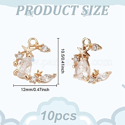 10 dije de circonita cúbica micropavé de latón&nbsp;KK-GO0001-79