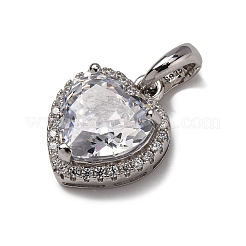 925 Sterling-Silber-Anhänger mit klaren Zirkonia&nbsp;STER-F063-01B-01
