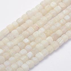 Filo di perline di agata naturale, tinti e riscaldato, cubo, bianco, 8~10x8.5~9x8.5~9mm, Foro: 1 mm, circa 41pcs/filo, 14.7 pollice (37.5 cm)