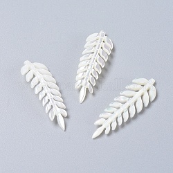 Природные подвески оболочки, лист, белые, 45~47x14~15x2~2.5 мм, отверстие : 0.8 мм
