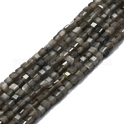 Fili di perle agata grigio naturale , sfaccettato, cubo, 2x2x2mm, Foro: 0.6 mm, circa 182pcs/filo, 15.16''~15.55'' (38.5~39.5 cm)