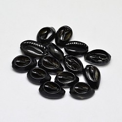 Cuentas de concha de cowrie natural, teñido, oval, ningún agujero, negro, 5~20x10~13x5~7mm