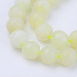 Chapelets de perles en jaspe à pois verts naturels, ronde, 6~6.5mm, Trou: 1mm, Environ 63 pcs/chapelet, 15.5 pouce