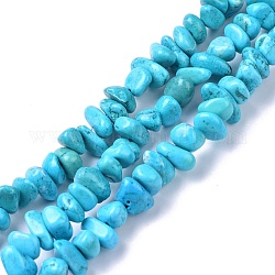 Natural Magnesite Beads Strands, Dyed, Chip, Cyan, 6~10x6~10x3~4mm, Hole: 0.5~0.7mm, 15.55''~16.54''(39.5~42cm)