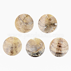 Pendentifs coquillage akoya naturel, pendentifs coquille en nacre, plat rond, chameau, 25x2~5mm, Trou: 1.6mm