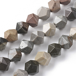 Natural Ocean Jasper Beads Strands, Star Cut Round Beads, Faceted, 10mm, Hole: 1.2mm, about 34pcs/strand, 14.96 inch(38cm)