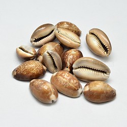 Perles ovales en coquillage naturel, Pérou, 25~35x17~25x12~25mm, Trou: 1mm, environ 100 pcs/500 g