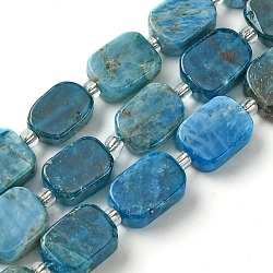 Chapelets de perles en apatite naturelle, avec des perles de rocaille, rectangle, 11.5~12.5x7.5~10x5~6.5mm, Trou: 0.8~0.9mm, Environ 13 pcs/chapelet, 7.68~8.07 pouce (19.5~20.5 cm)