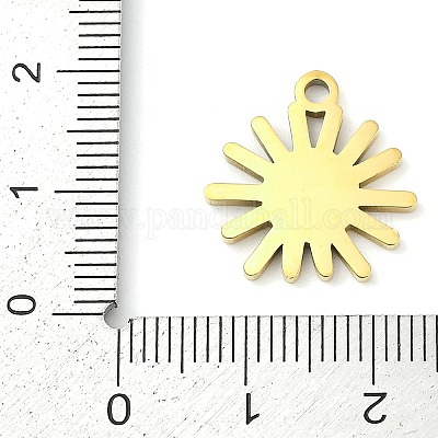 Pendentifs en acier inoxydable 304&nbsp;STAS-F315-07G-01-1