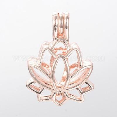 Lega pendenti diffusore medaglione&nbsp;PALLOY-S062-40RG-1