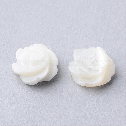 Perles de coquille naturels SSHEL-S250-10-1