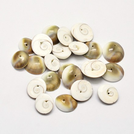 Natürliche Shiva Eye Shell Perlen BSHE-O007-27-1