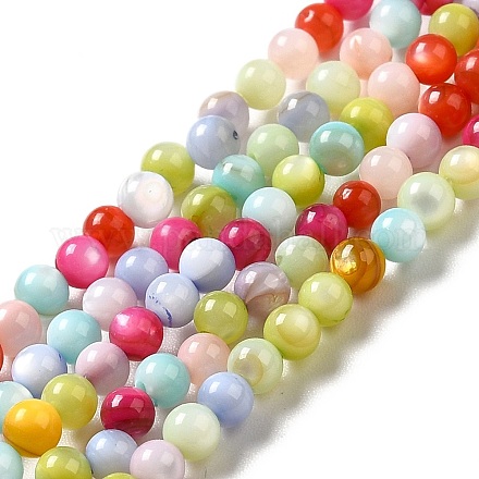 Chapelets de perles de coquille d'eau douce naturelle teinte SHEL-G014-05B-02-1