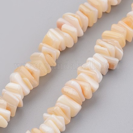 Chapelets de perles en coquillage naturel BSHE-P021-03-1