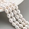 Natural Cultured Freshwater Pearl Beads Strands, Rice, Grade 2A+, White, 6~7mm, Hole: 0.6mm, about 18~20pcs/strand, 6.30''~6.69''(16~17cm)