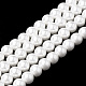 Shell Perlen Stränge&nbsp;X-BSHE-S301-10mm-04-1