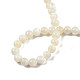 Fili di perline di conchiglia bianco naturale SSHEL-N003-144D-01-4