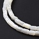 Brins de perles de coquillages naturels de troca SSHEL-H070-01G-5