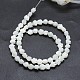 Shell normal de perles blanches de brins SSHEL-P015-01A-10mm-2