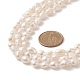 天然真珠ビーズ 3 層ネックレス女性用  貝殻色  62.99インチ（160cm） NJEW-JN04217-5