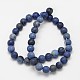 Frosted Round Natural Grade AA Sodalite Beads Strands G-N0166-68-8mm-3