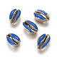 Electroplated Cowrie Shell Beads X-BSHE-G019-01G-G-1