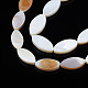 Eau douce naturelle de coquillage perles brins SHEL-Q024B-017-4