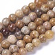 Natural Fossil Coral Beads Strands G-F648-01-D-1