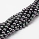 Shell-Perle Perle Stränge&nbsp;X-BSHE-L025-05-6mm-1