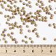 Perles rocailles miyuki rondes X-SEED-G008-RR0357-4