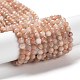 Chapelets de perles de pierre de lune de pêche naturelle G-J400-E16-02-1
