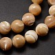 Natural Sea Shell Beads Strands SSHEL-K013-12mm-B-3