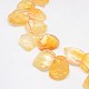 Natural Gemstone Citrine Beads Strands G-L157-04-2
