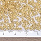 Perles rocailles miyuki rondes X-SEED-G007-RR0003-4